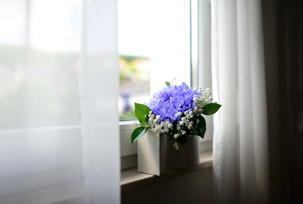 flower vase, window, curtains-6060005.jpg